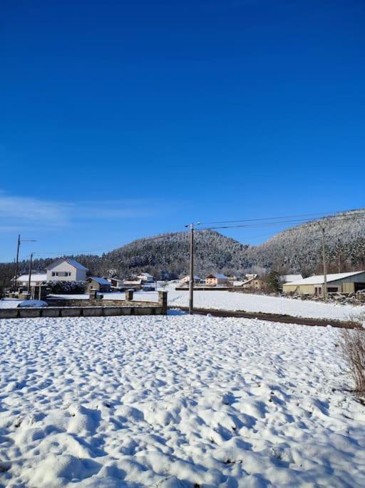 Gite Cosy Avec Avec Jardin Et Parking Privatifs - Hautes Vosges Saint-Amé Extérieur photo